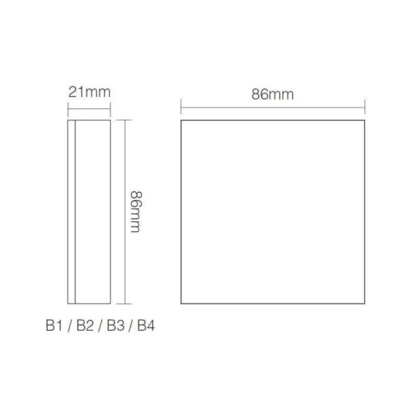 blank