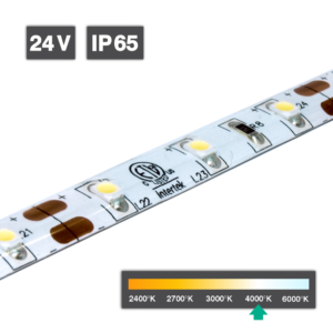 LED Strip Light 24V 4000K