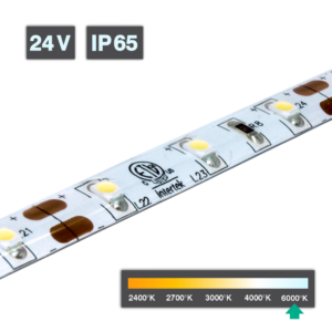 LED Strip Light 24V 6000K