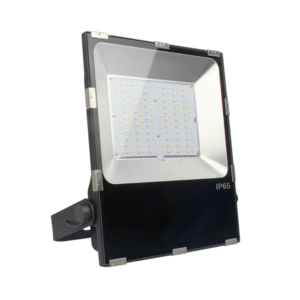 LED Flood Light 100W